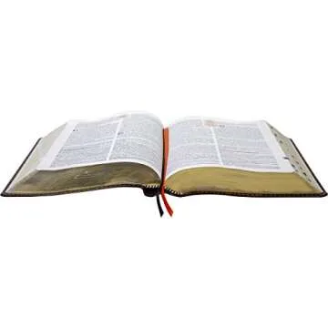 Biblia de Estudio Teológico Reina Valera 1960 - Piel Negra
