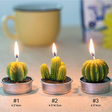 Cactus Tealight Candles Set for Weddings and Home Decor