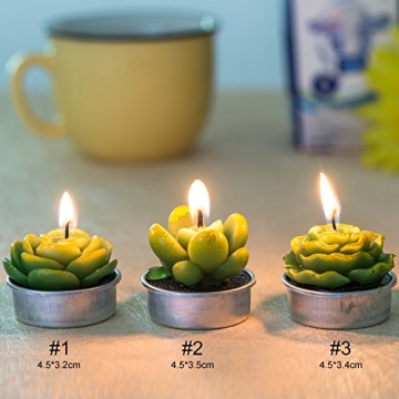 Cactus Tealight Candles Set for Weddings and Home Decor