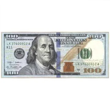 Hundred Dollar Bill Runner Rug - Unique Decorative Accent
