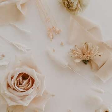 Maclemon Nude Chiffon Silk Ribbon 3 Rolls 2 Inch x 7Yd Ribbons Set for Wedding Invitations Bridal Bouquets Gifts Wrapping DIY Crafts