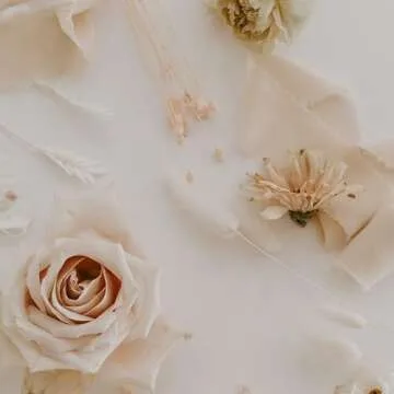 Maclemon Nude Chiffon Silk Ribbon 3 Rolls 2 Inch x 7Yd Ribbons Set for Wedding Invitations Bridal Bouquets Gifts Wrapping DIY Crafts