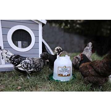 Harris Farms 1000261 Plastic Poultry Drinker, 5 Quart