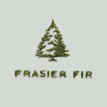 Thymes Frasier Fir Car Air Freshener Refill – 4 Reed Set