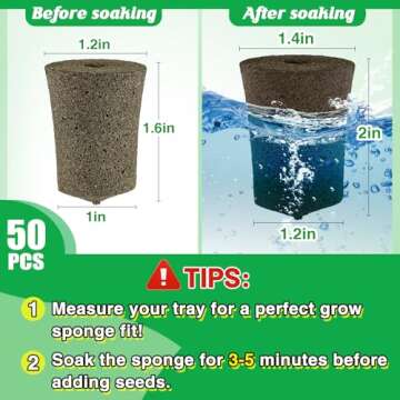 Bigmeta Rooting Sponges - 50 Pcs for Seamless Planting