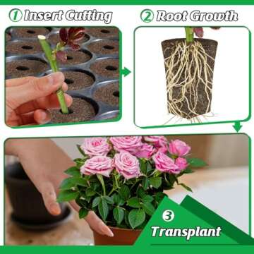 Bigmeta Rooting Sponges - 50 Pcs for Seamless Planting