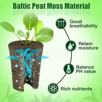 Bigmeta Rooting Sponges - 50 Pcs for Seamless Planting