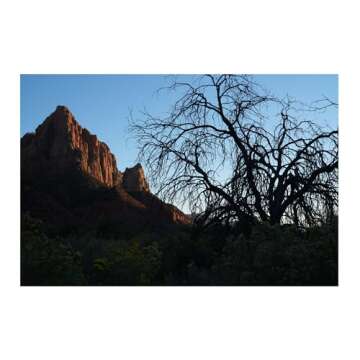 Sony FE 50mm F1.4 GM Lens (Sony E)