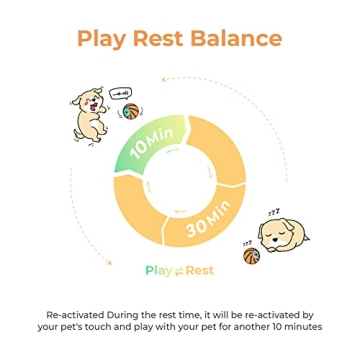 Cheerble Wicked Ball SE - Interactive Toy for Dogs