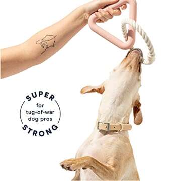 Wild One Triangle Tug Dog Toy for Medium and Large Breeds, Rope Toy, Durable for Average Chewers, Pink