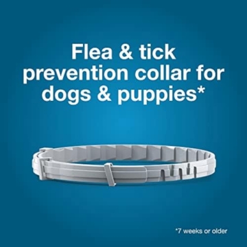 Seresto Large Dog Flea & Tick Prevention Collar 8 Months