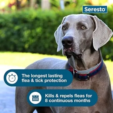Seresto Large Dog Flea & Tick Prevention Collar 8 Months