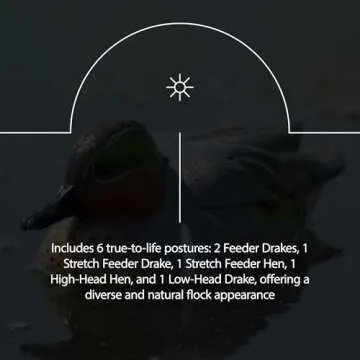 Avian-X Full Body Mallards Decoys for Hunting Success