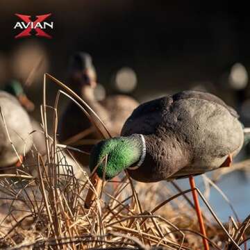 Avian-X Full Body Mallards Decoys for Hunting Success