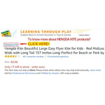 Hengda Kite Software Octopus Flyer Kite for Kids 31-Inch