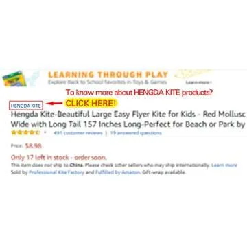 Hengda Kite Software Octopus Flyer Kite for Kids 31-Inch