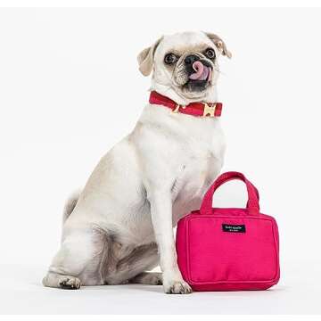 Kate Spade New York Cute Dog Collar, Gold Metal Buckle Dog Collar, 11.5" to 15" Adjustable Dog Colla...