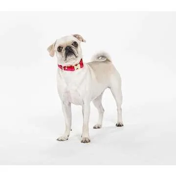 Kate Spade New York Cute Dog Collar, Gold Metal Buckle Dog Collar, 11.5" to 15" Adjustable Dog Collar for Female or Male Dogs, Stylish Dog Collar for Small and Medium Breeds (Red and Pink)