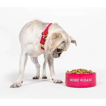 Kate Spade New York Cute Dog Collar, Gold Metal Buckle Dog Collar, 11.5" to 15" Adjustable Dog Collar for Female or Male Dogs, Stylish Dog Collar for Small and Medium Breeds (Red and Pink)