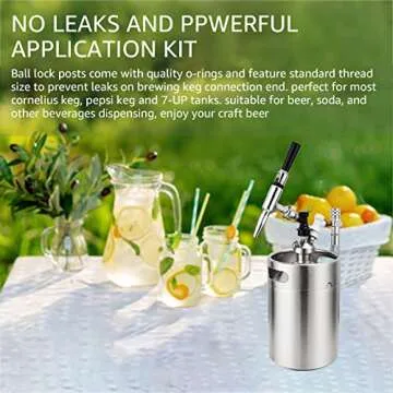 MRbrew Cornelius Type Ball Lock Keg Posts,Stainless Steel Poppets and Springs,Poppet Female Thread Gas + Liquid 19/32-18 Thread (Post & Poppet)