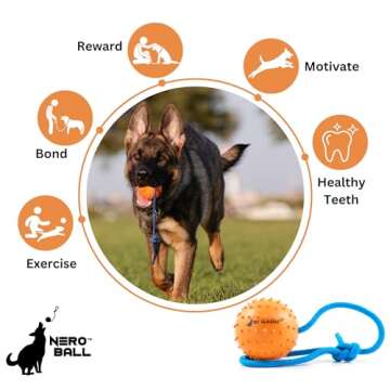 The Nero Ball Classic TM - K-9 Ball On a Rope Reward and Exercise Rubber Ball - Fetch Ball