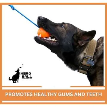 The Nero Ball Classic TM - K-9 Ball On a Rope Reward and Exercise Rubber Ball - Fetch Ball