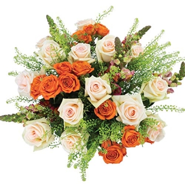 Country Living Floral Collection: Premium Fresh Cut Orange and Peach Roses, 2 Dozen Flowers