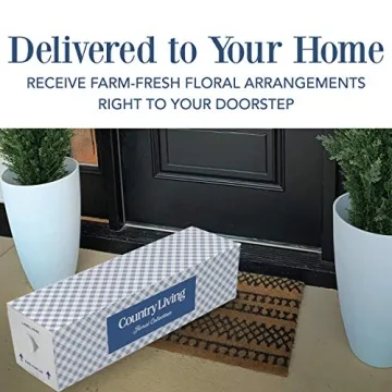 Extra Large Premium Fresh Orange Peach Roses Delivery