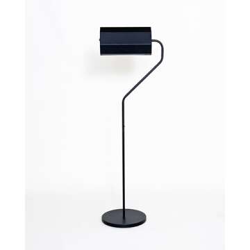 Northern Light Technologies Flamingo 10,000 Lux Bright Light Therapy Floor Lamp, Black, 4 Foot