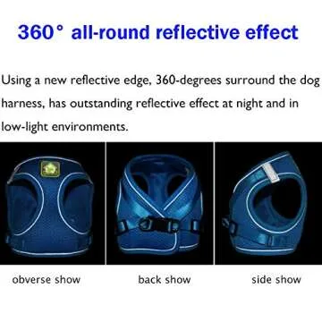 FEimaX Dog Harness and Leash Set, No Pull Breathable Soft Mesh Puppy Vest Harness Reflective Adjustable Pet Harnesses for Small Medium Dogs and Cats - Outdoor Easy Control for Walking