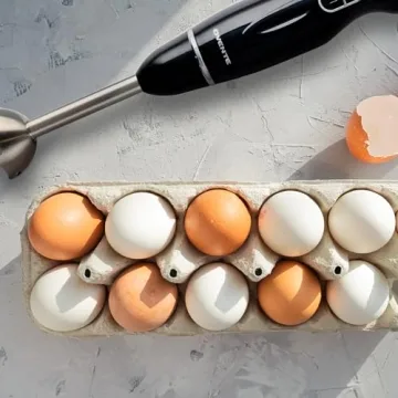 OVENTE 300W Hand Blender - 2 Speed, Easy Grip