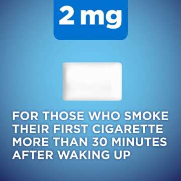 Amazon Basic Care Coated Nicotine Gum 2 mg, Ice Mint Flavor - 160 Count