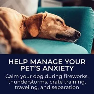 Yogasleep Pawzz White Noise Machine for Dogs, Home & All Pets. with Integrated Bark Sensor, 6 Automatic Relaxing Natural Sounds, Help Keep Pets Calm, Anti-Barking with Training, Noise Canceling