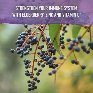 Elderberry Sleep Immune Syrup - Organic Support for All Ages