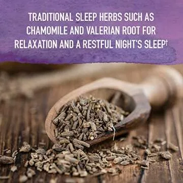 Elderberry Sleep Immune Syrup - Organic Support for All Ages