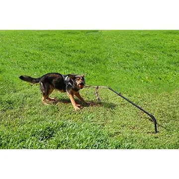 Highland Farms Select Dog Retractable Interactive Training Tug Toy - Pet Obedience Training Tug - Stable Exercise Metal Pole & Spring Rod with Replaceable Chew Rope for Small/Medium Dogs