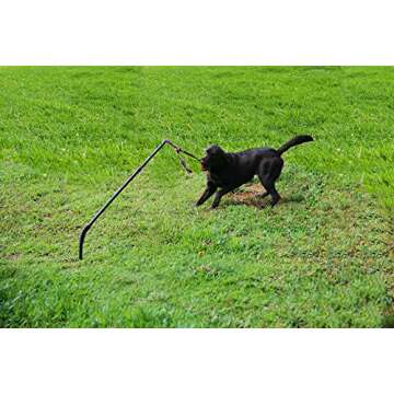 Highland Farms Select Dog Retractable Interactive Training Tug Toy - Pet Obedience Training Tug - Stable Exercise Metal Pole & Spring Rod with Replaceable Chew Rope for Small/Medium Dogs