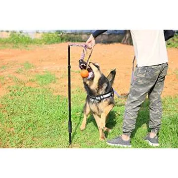 Highland Farms Select Dog Retractable Interactive Training Tug Toy - Pet Obedience Training Tug - Stable Exercise Metal Pole & Spring Rod with Replaceable Chew Rope for Small/Medium Dogs