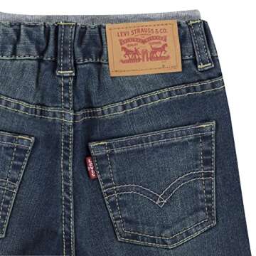 Levi's Baby Boys' Straight Fit Jeans, Covered Up, 4T