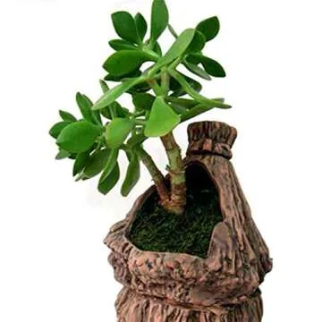 TOPCOMWW 3.5oz Fake Green Moss for Crafting Decor