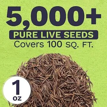 Cosmos Seeds Wildflower Mixture - Bulk 1 Ounce Packet