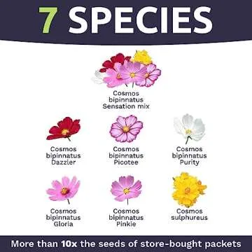 Cosmos Seeds Wildflower Mixture - Bulk 1 Ounce Packet