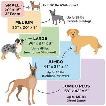 Furhaven Orthopedic Dog Bed for Large/Medium Dogs w/ Removable Bolsters & Washable Cover, For Dogs U...