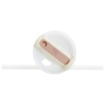 Stanley Quencher H2.0 Tumbler 20 oz with Straw | Insulated Cup