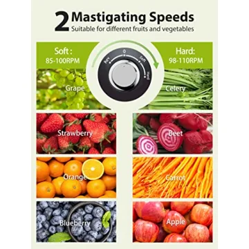 Aeitto Juicer Machines, Cold Press Juicer with Soft & Hard Modes, Quiet Motor, Reverse Function, Juicer Machines Vegetable and Fruit, Juice Extractor, High Juice Yield, Easy to Clean with Brush, Black