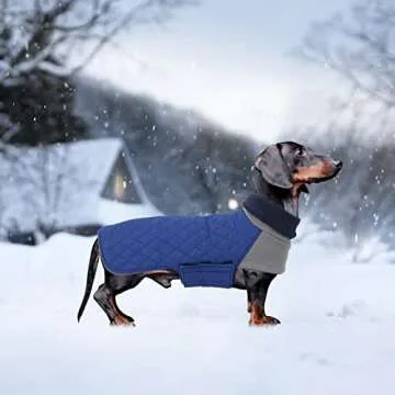 Geyecete Dachshund Coat,Dachshund Winter Coat,Warm Dachshund Coat Waterproof Windproof, High Neckine String Holes Miniature Dachshund Jacket for Small Dog-Blue-M