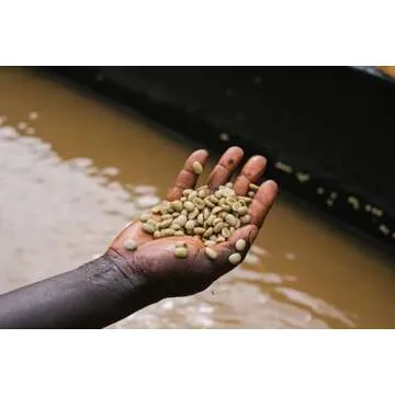 Onyx Coffee Lab Southern Weather Whole Bean Coffee Blend – Medium Roasted Coffee Beans Whole – Specialty Coffee with Notes of Chocolate, Plum & Walnut