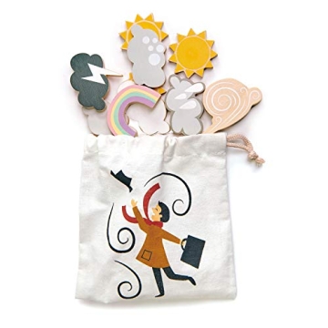 Tender Leaf Toys Weather Watch - Kids Weather Station