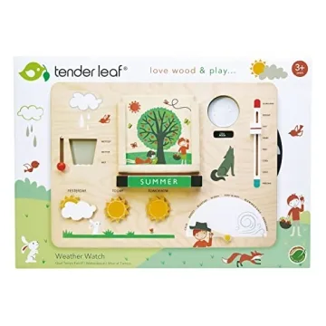 Tender Leaf Toys Weather Watch - Kids Weather Station