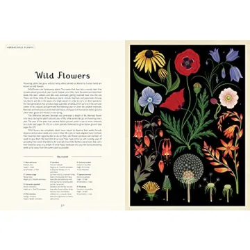 Botanicum: Stunning Illustrations and Plant Knowledge